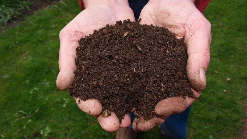 Composteur individuel de jardin
