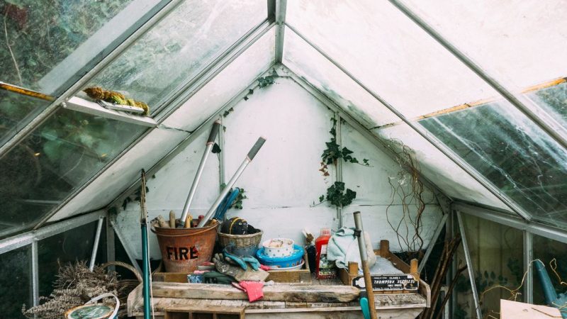 Comment choisir sa serre de jardin ?